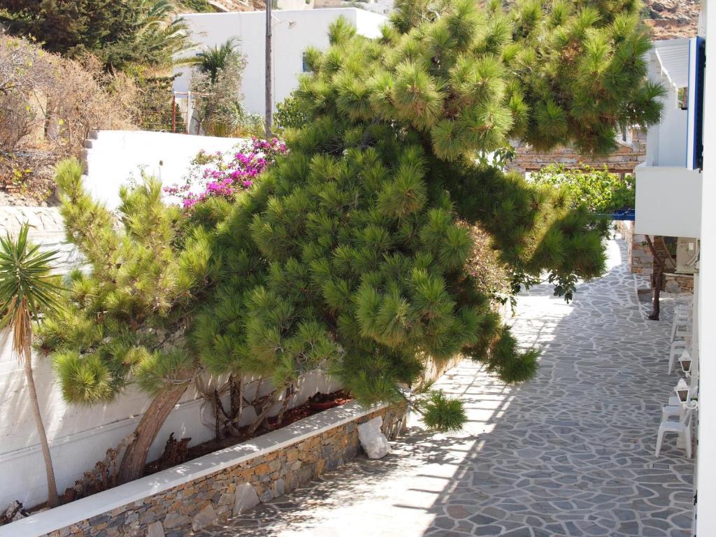Homer'S Inn Hotel Chora  Dış mekan fotoğraf