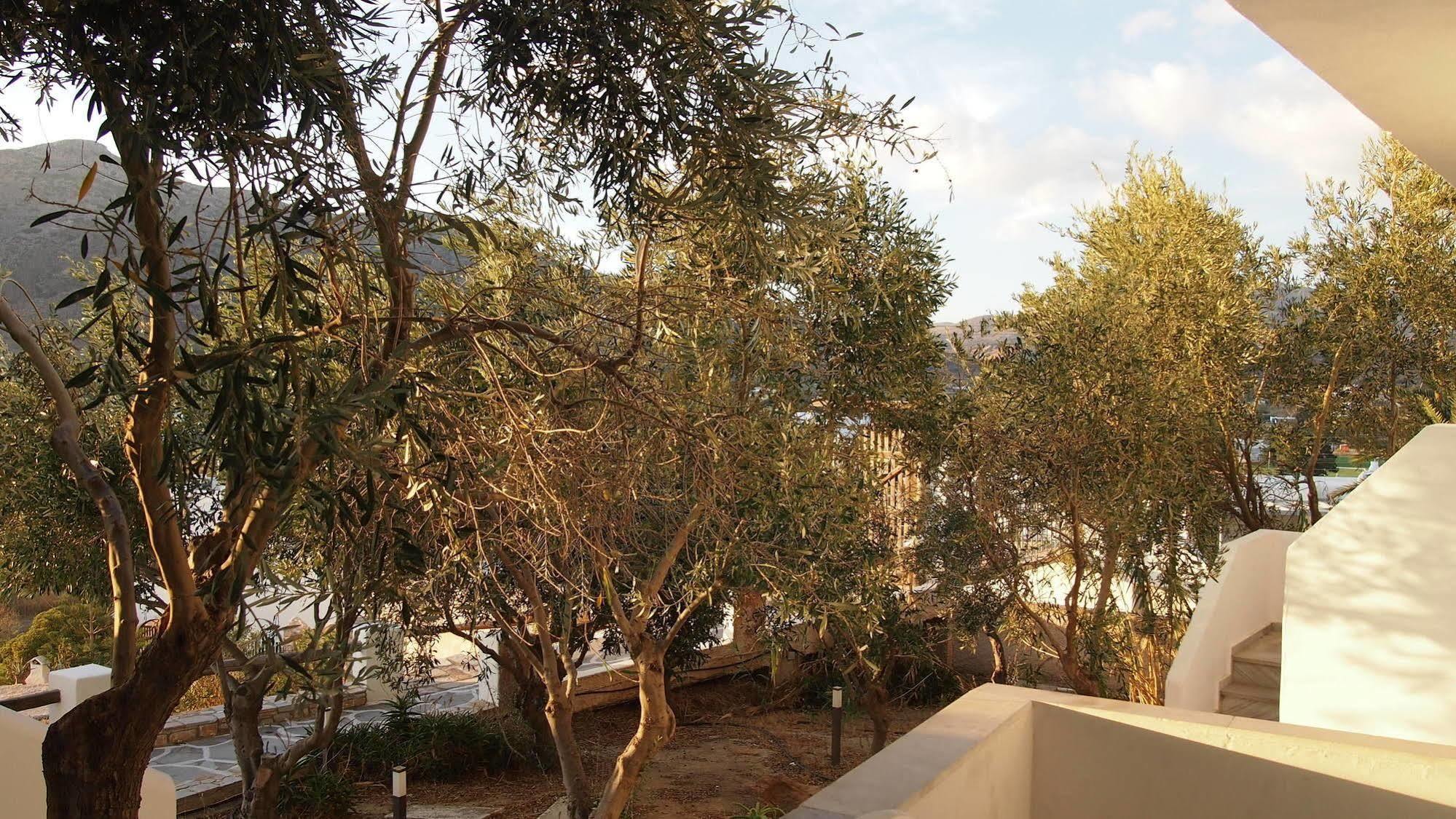 Homer'S Inn Hotel Chora  Dış mekan fotoğraf